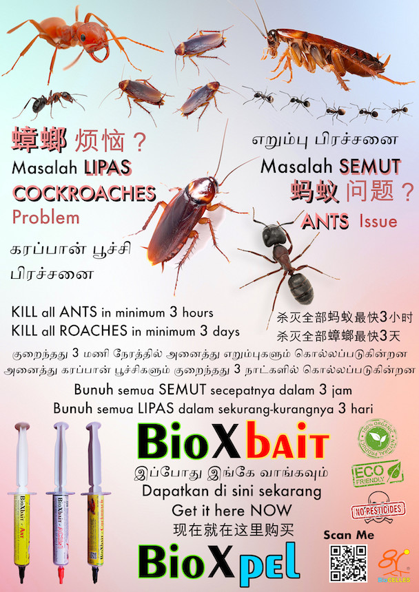 BioXbait Ant and Cockroach Poster